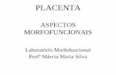 histologia placenta