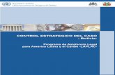 Manual para el control estratégico del caso - Bolivia