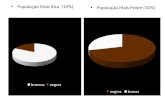 Dados da segregação racial no Brasil