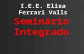 Seminário interdisciplnar I.E.E. Elisa Ferari Valls 11D
