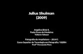 Arq 2009 momentos memoráveis   julius shulman