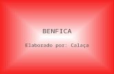Benfica - criado por António Calaça