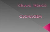 Celulas tronco clonagem