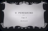 Cap. 9 - O Peregrino