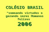 Colegio brasil semeando virtudes