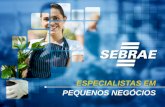 Índices e estatísticas sobre as micro e pequenas empresas -SEBRAE
