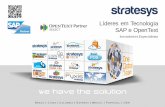 Stratesys - Brochure Corporativo - HOR cl - JUN2015 BR