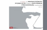 A Visão do Ministério Público Sobre o Sistema Prisional Brasileiro - 2013