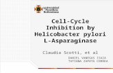 inhibición cilco celular por la asparaqginasa de la H. pylori