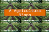 A  agricultura 9ºano