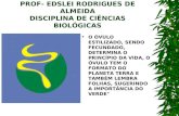 Prof  Edslei Rodrigues De Almeida
