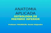 Anatomia aplicada 9º miembro inferior osteologia artrologia