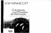 Winnicott d w   o ambiente e os processos de maturação