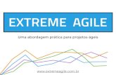 AgileTourBH 2014 - Dairton Bassi - Extreme agile