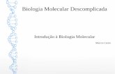 Introdução à Biologia Molecular