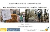 Biocombustíveis e Biodiversidade: Oportunidade emergente ou conflito evidente?