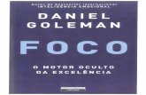 Daniel Goleman   Foco