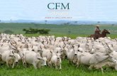 CFM Informa julho 2015 - tudo sobre o Megaleilão e resultado CFM no Paraguai