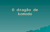 Dragão de Komodo de Guilherme Silva