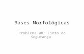 Bases morfologicas 08