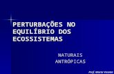 1205450372 8ano perturbacoes_no_equilibrio_dos_ecosistemas