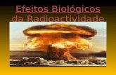 Efeitos biológicos da radioactividade concluido