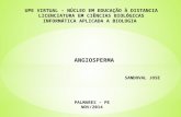 TRAB INFORMATICA APLICADA - Angiosperma