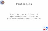 Aula4 protocolos  v2