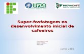Jackson souza - palestra IX Simpósio de Pesquisa dos Cafés do Brasil