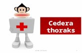 cedera thoraks (wld)