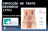 Infecção do Trato Urinário (Davyson Sampaio Braga)