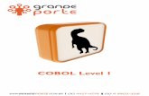 Grande porte   cobol level 1 - versão 2.3.5