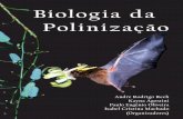 Biologia da-polinizacao