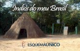 Colégio Esquema Único - Projeto Índios do Meu Brasil