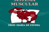Sistema Muscular - Prof. Maria de Fátima