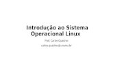 Introdução aos comandos Linux