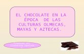 Origen del chocolate en la época Precolombina.