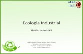 Ecologia industrial