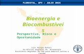 SojaPlus workshop4 - Bioenergia_FAO