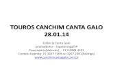 CATÁLOGO DE TOURO - CANCHIM CANTA GALO