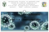 Microbiologia veterinaria (paramyxoviridae e orthomyxoviridae)