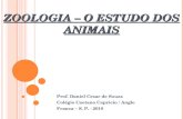 Zoologia   o estudo dos animais