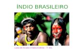O índio brasileiro   luisa de arruda e maria antônia.