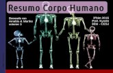 Resumo corpo humano