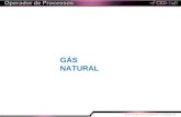 05 aula gás natural