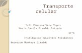 Transporte celular