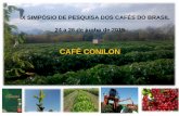 Palestra ix simpósio pesquisa cafeeira, Melhoramento genético café conilon - Romario Ferrão
