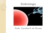Introdução a Embrio, Ciclo Celular, Mitose e Meiose