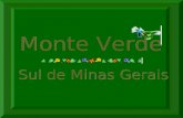 Monte Verde - MG