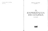 (Livro) Ismail Xavier - A Experiência do Cinema.pdf